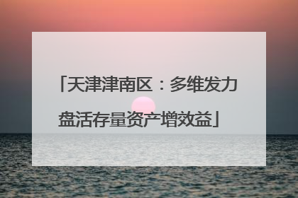 天津津南区：多维发力盘活存量资产增效益